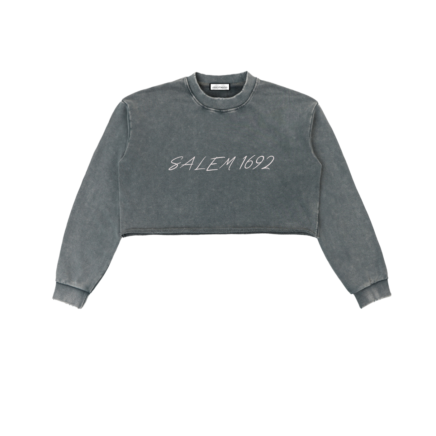 Snow Washed Raw Edge Cropped Sweatshirt