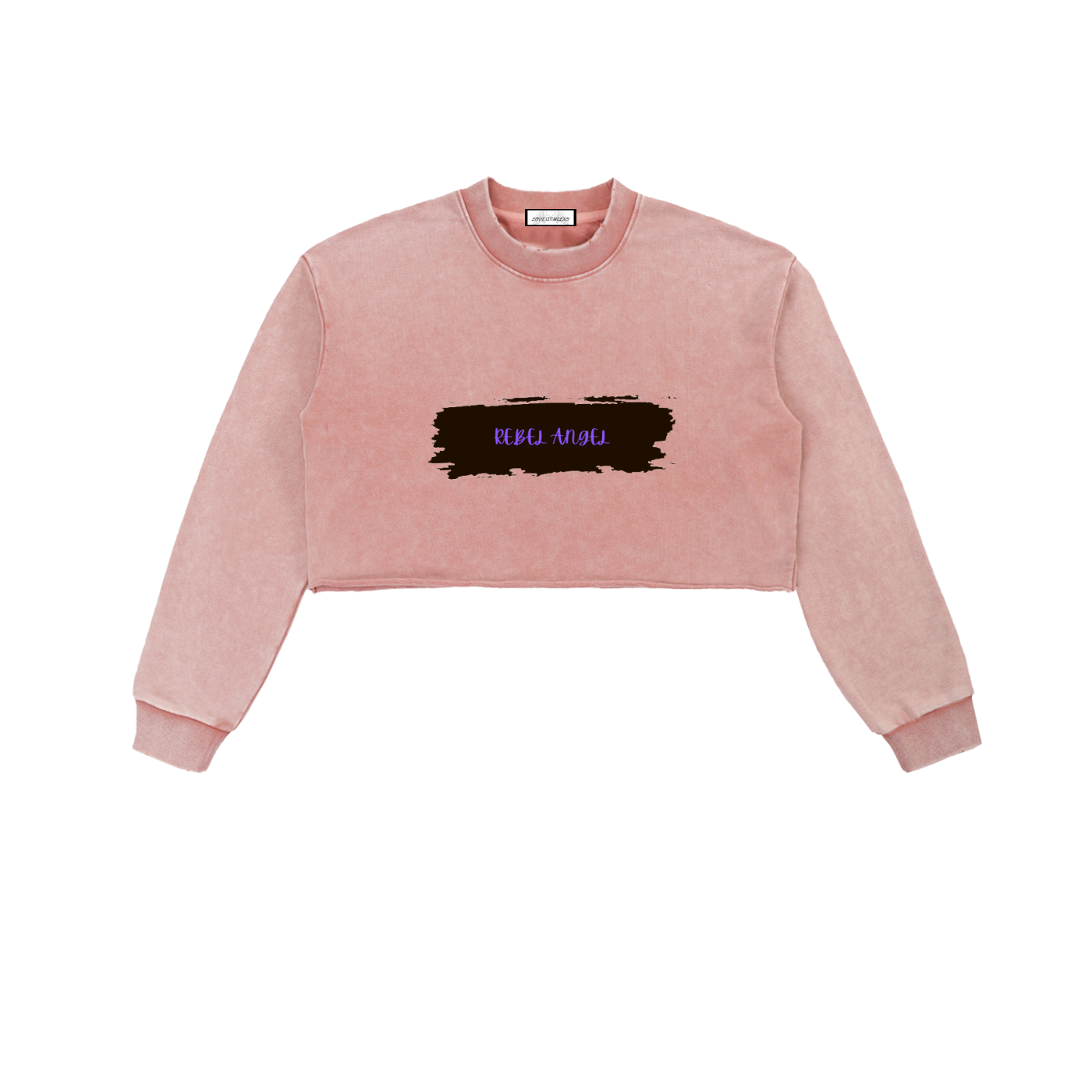 Snow Washed Raw Edge Cropped Sweatshirt